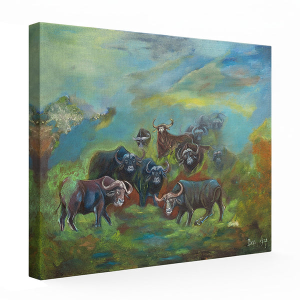 Buffalo herd