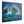 Two Pelicans - Moonlight Sonata