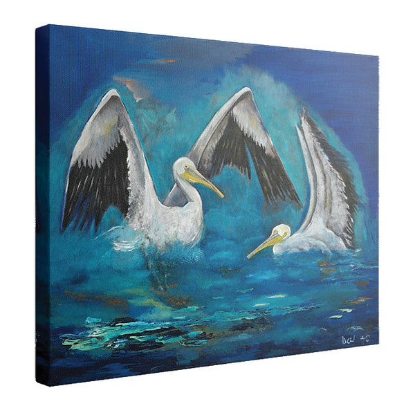 Two Pelicans - Moonlight Sonata