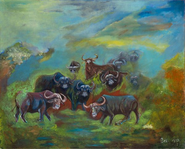 Buffalo herd